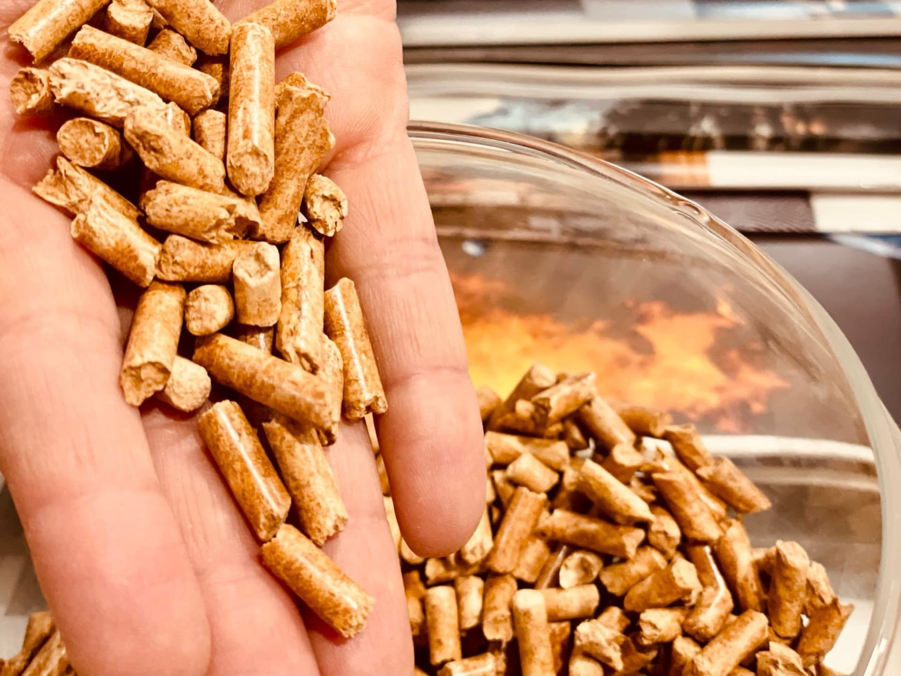 Pellet de madera en la mano: el combustible de biomasa de las estufas de pellets